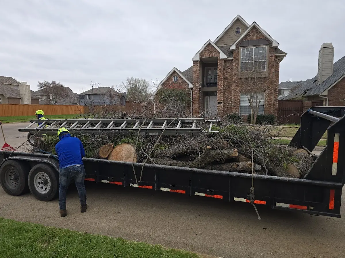 Expert Lot Clearing with proper safety equipment in Bear Creek